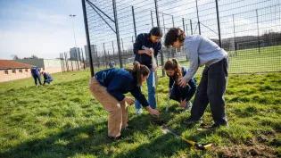 Wild peffermill tree planting