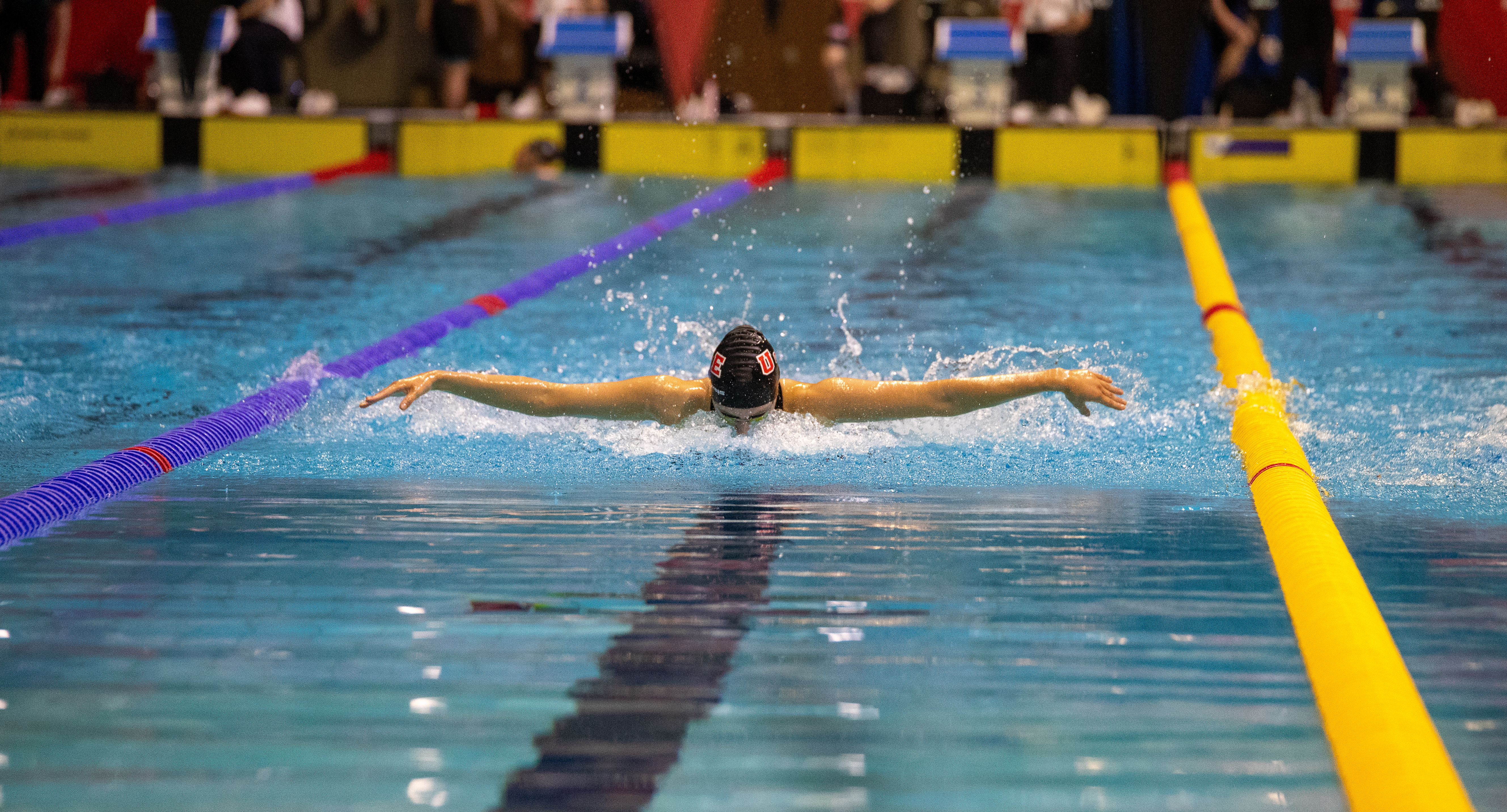 Image of swimmer doing butterfly stroke